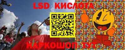 гашик Донской