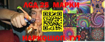 гашик Донской