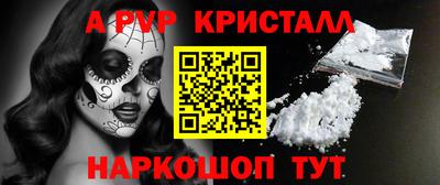 гашик Донской