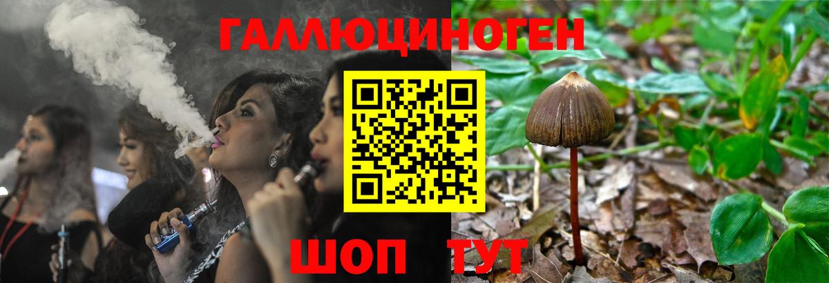 Лосино-Петровский  Псилоцибиновые грибы Magic Shrooms  Вход с VPN 